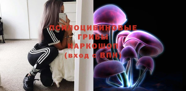 PSILOCYBIN Пролетарск